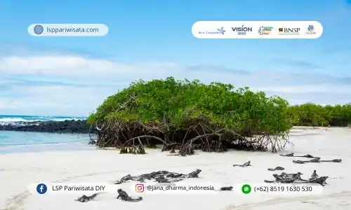 Apa Itu Baku Mutu dalam Wisata Bahari dan Mengapa Penting?